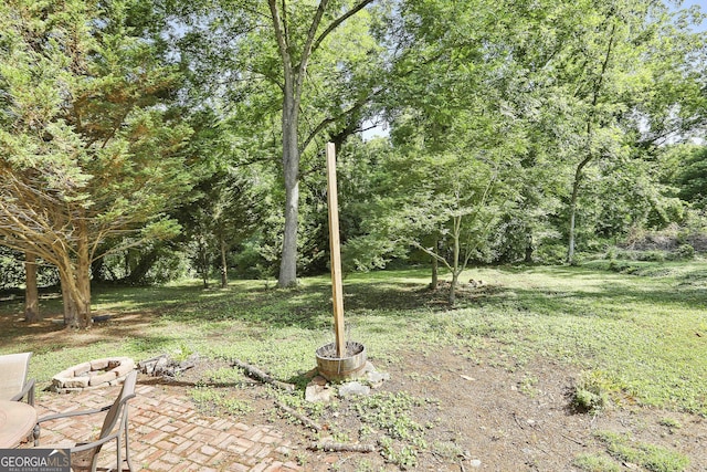 view of yard featuring a patio