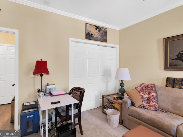 office featuring ornamental molding and carpet flooring