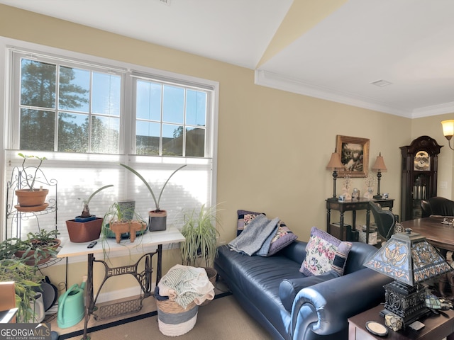 living room with crown molding and a healthy amount of sunlight