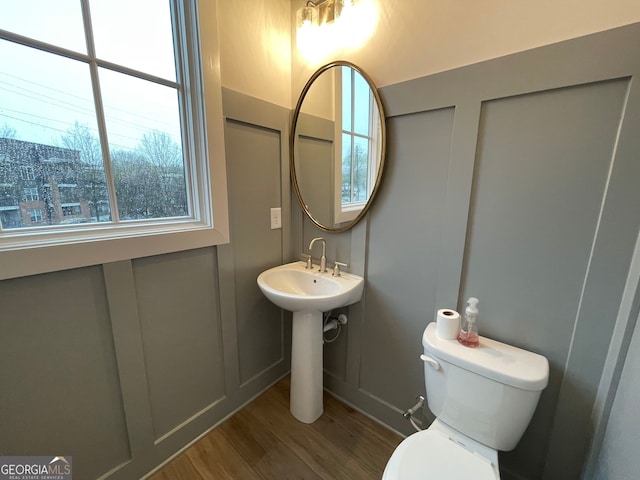 bathroom featuring hardwood / wood-style flooring, sink, and toilet