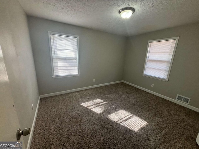 unfurnished room featuring carpet, a healthy amount of sunlight, and a textured ceiling