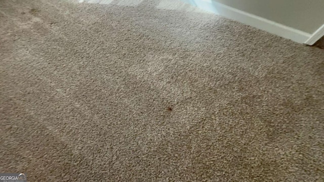 room details featuring carpet floors