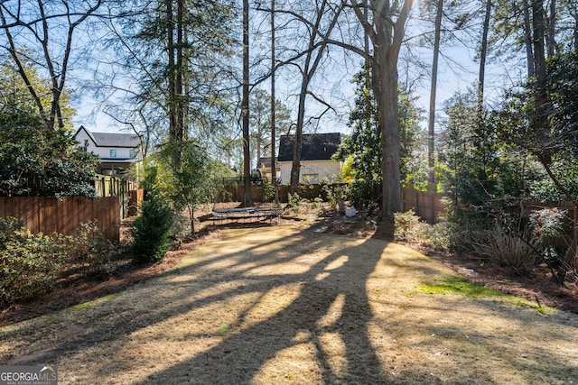 view of yard with a trampoline