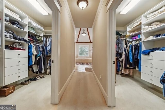 walk in closet with light colored carpet