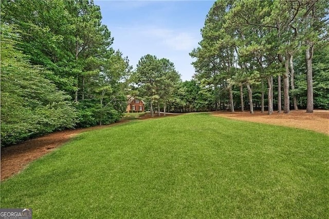102 Townsend Pass, Alpharetta, GA 30004 - view of green lawn