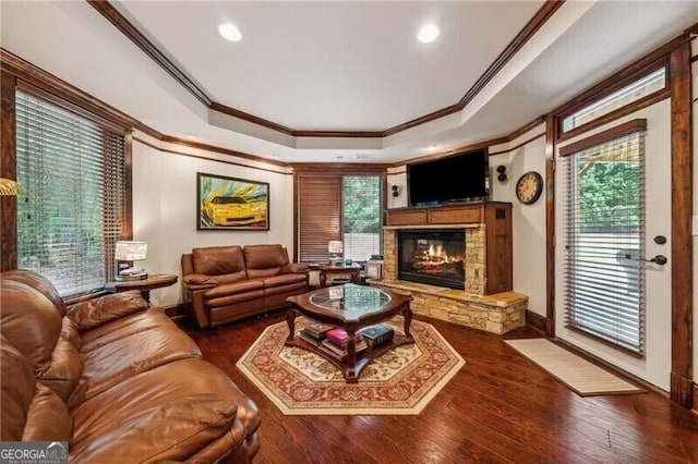 102 Townsend Pass, Alpharetta, GA 30004 - living area with ornamental molding, a raised ceiling, a fireplace, wood finished floors, and baseboards