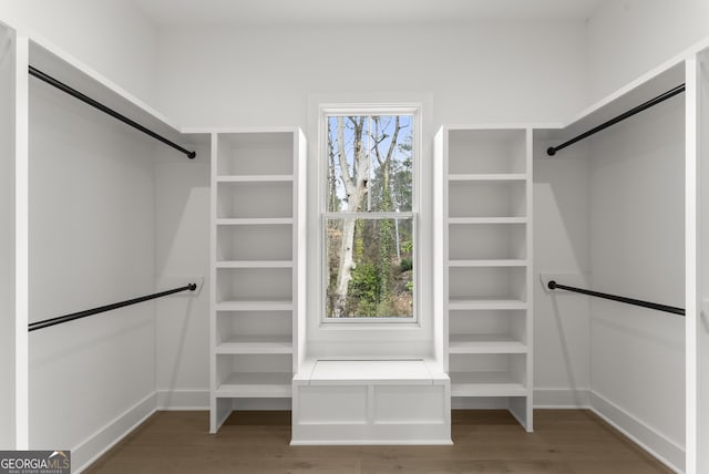 walk in closet with a barn door and wood finished floors