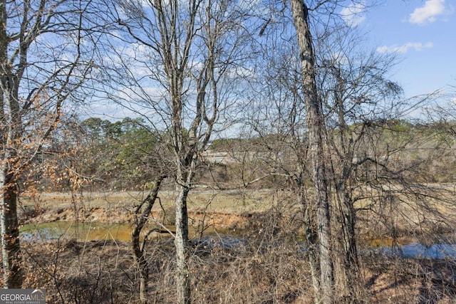 view of local wilderness featuring a water view