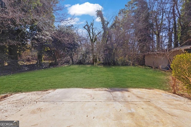 view of yard featuring a patio area