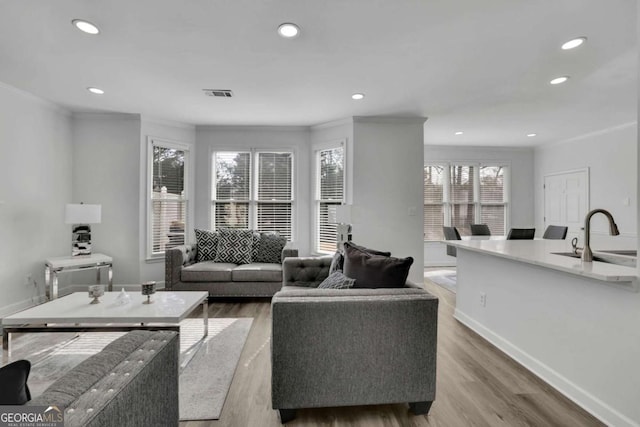 living room featuring hardwood / wood-style flooring, ornamental molding, and sink