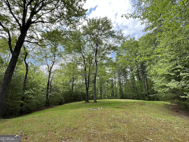 view of yard with a wooded view
