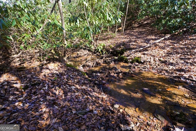 view of nature