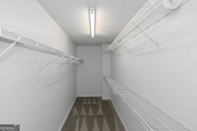 spacious closet with carpet