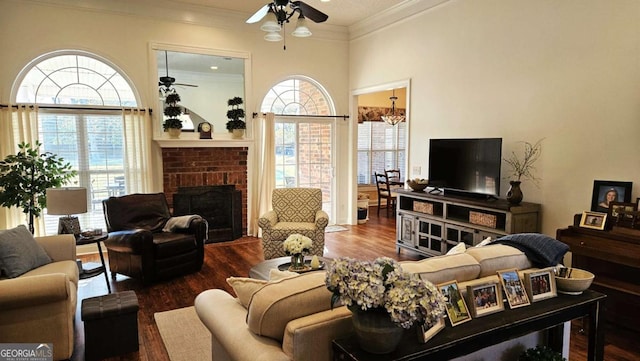 living room featuring ceiling fan, a fireplace, crown molding, and wood finished floors