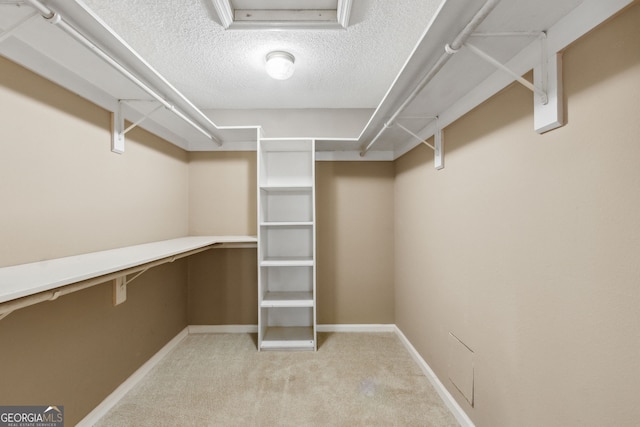 spacious closet featuring light colored carpet