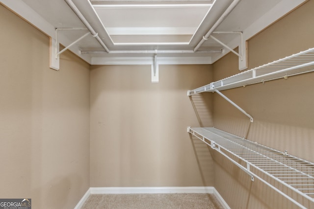 walk in closet featuring carpet flooring