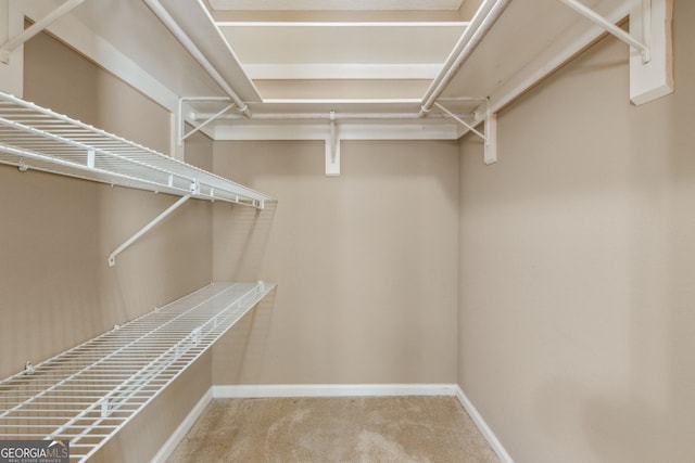 spacious closet featuring carpet