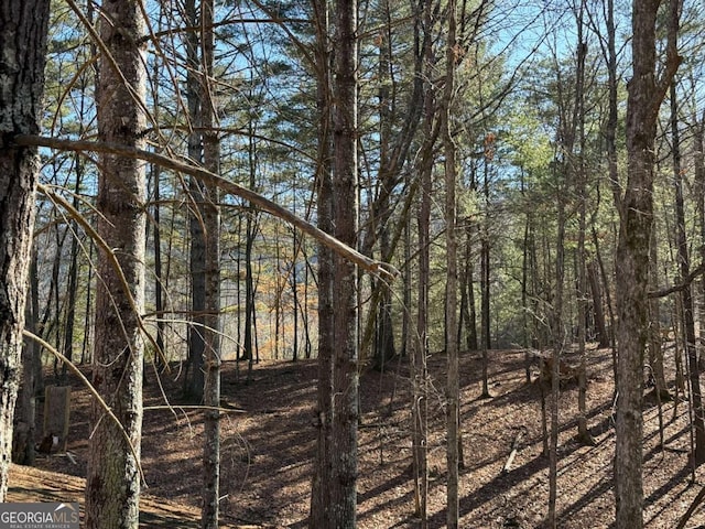 1117 Poor House Mountain Trl, Murphy, NC 28906 - view of wooded area