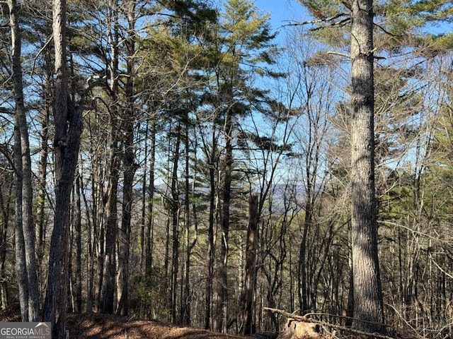 1117 Poor House Mountain Trl, Murphy, NC 28906 - view of woods