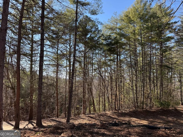 view of nature with a wooded view