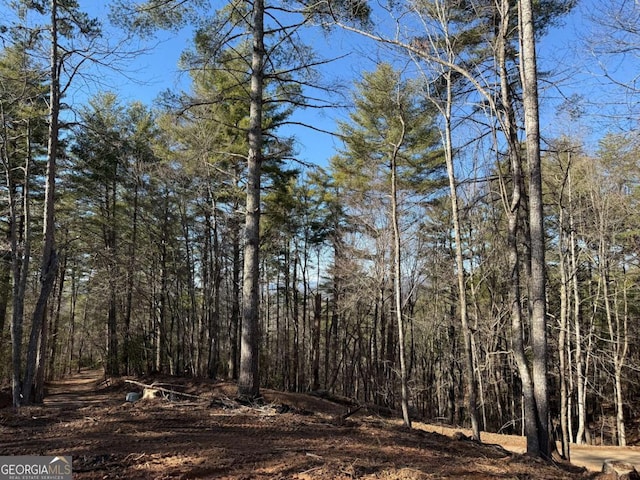 1117 Poor House Mountain Trl, Murphy, NC 28906 - view of tree filled area