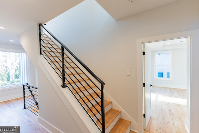 staircase with wood-type flooring