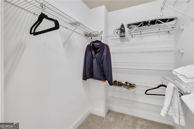 spacious closet featuring light carpet