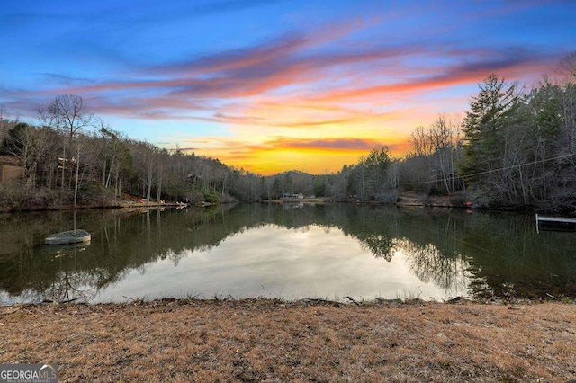 property view of water