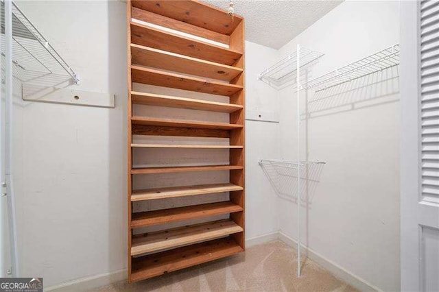 spacious closet with light colored carpet