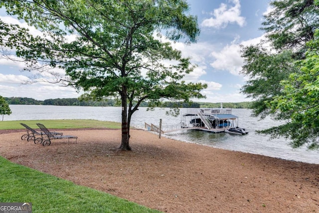 dock area with a water view