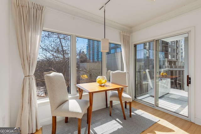 sunroom featuring track lighting