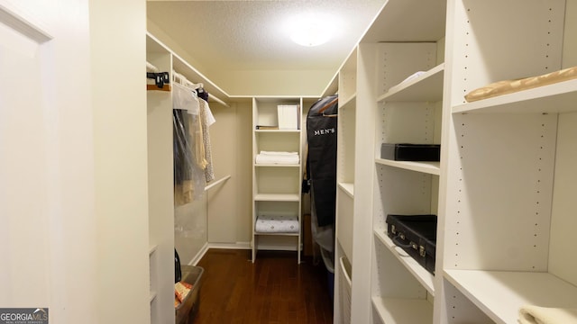 walk in closet featuring dark hardwood / wood-style floors