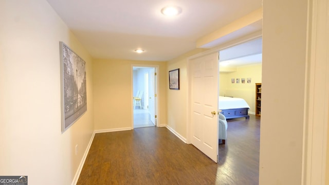 hall featuring dark wood-type flooring