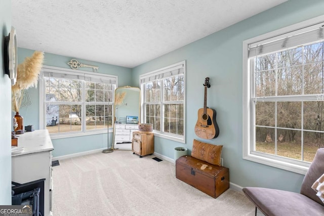 living area with carpet floors and a textured ceiling