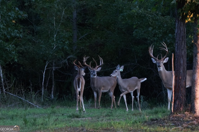 0 County Rd 47, Union Springs, AL 36089 - view of details
