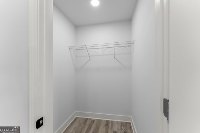 spacious closet with light wood-type flooring