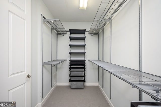 spacious closet with light carpet