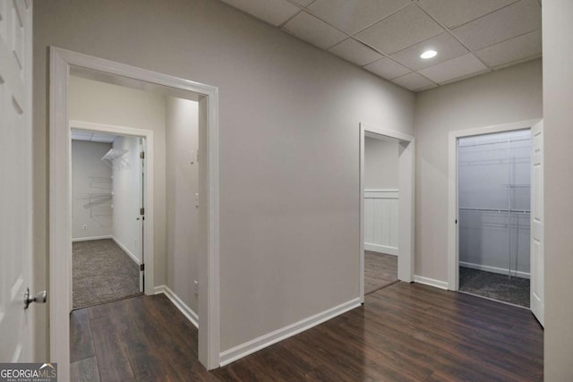 hall with a drop ceiling and dark hardwood / wood-style floors