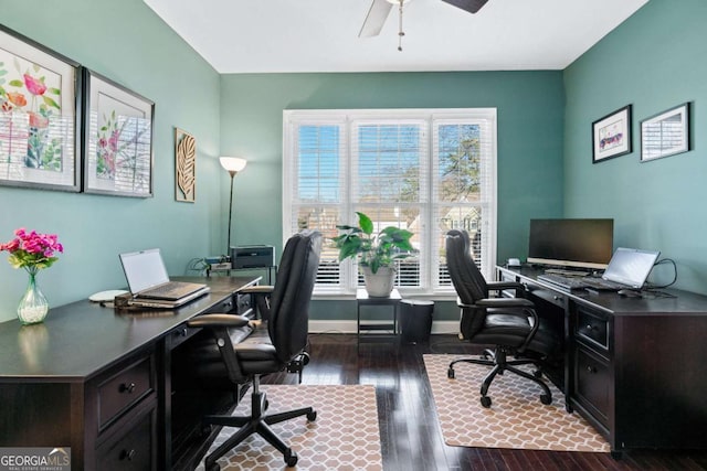 office space featuring dark hardwood / wood-style floors and ceiling fan