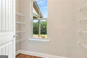 spacious closet with dark hardwood / wood-style floors