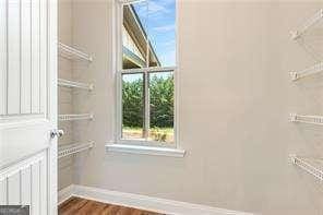 walk in closet featuring wood finished floors