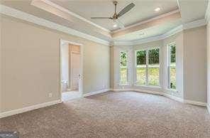 unfurnished room with crown molding, ceiling fan, a tray ceiling, and carpet