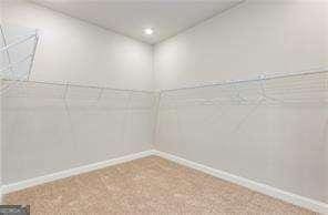 spacious closet featuring carpet floors