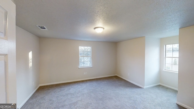 carpeted spare room with a healthy amount of sunlight and a textured ceiling