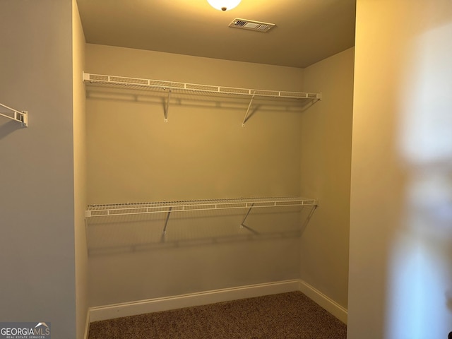 spacious closet featuring carpet flooring