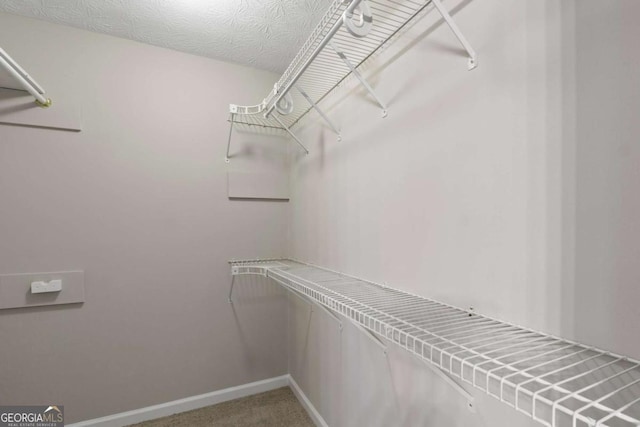 spacious closet with carpet