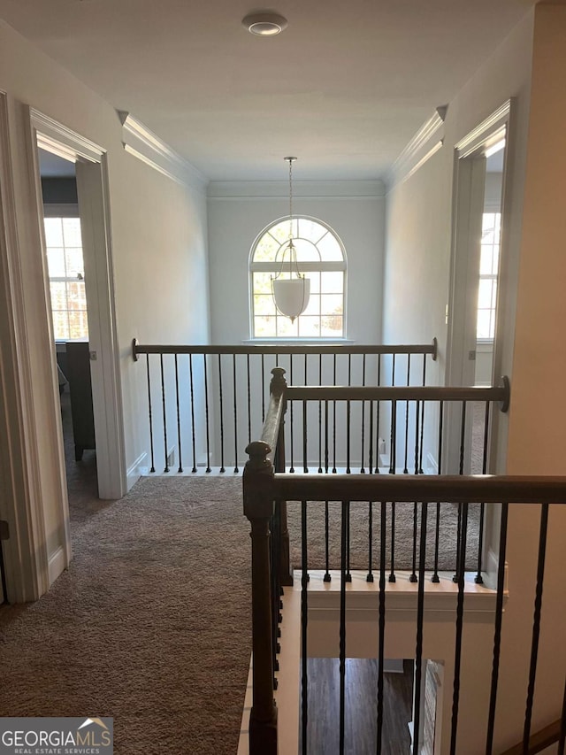 corridor featuring ornamental molding and carpet floors