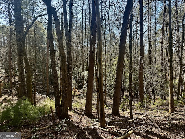 Listing photo 3 for 0 Mountain Creek Rd, Blue Ridge GA 30513