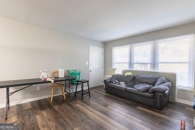 living room featuring dark hardwood / wood-style flooring