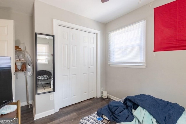 bedroom featuring dark wood-type flooring and a closet